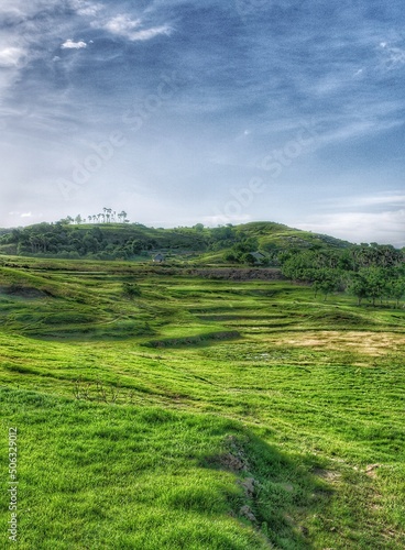 Wallpaper Mural landscape with green grass and sky Torontodigital.ca