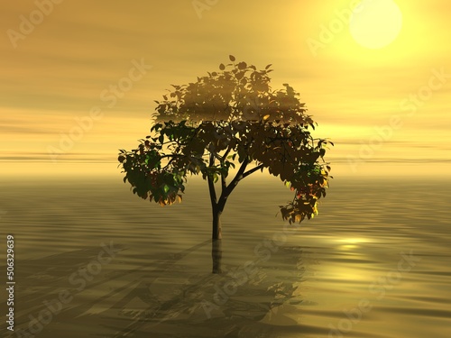 幻想的な海と樹木