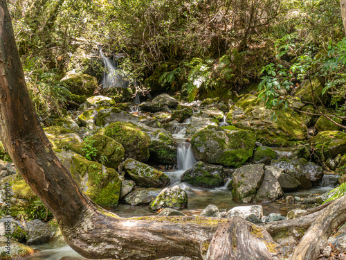 waterfall in the forest