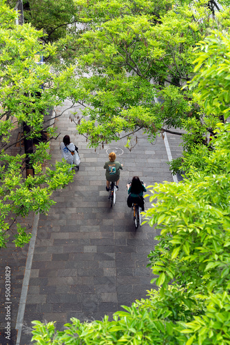 緑がある通り道