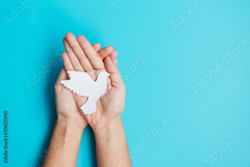 International Day of Peace. Hands holding white paper Dove bird on blue background. Freedom, Hope and World Peace day 21 September concepts. photo