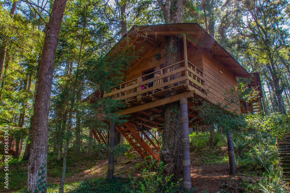 cabin in the woods cabin in the woods