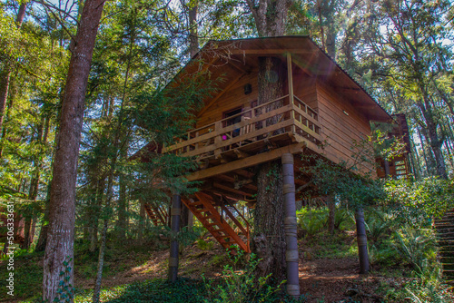 Fototapeta Naklejka Na Ścianę i Meble -  cabin in the woods