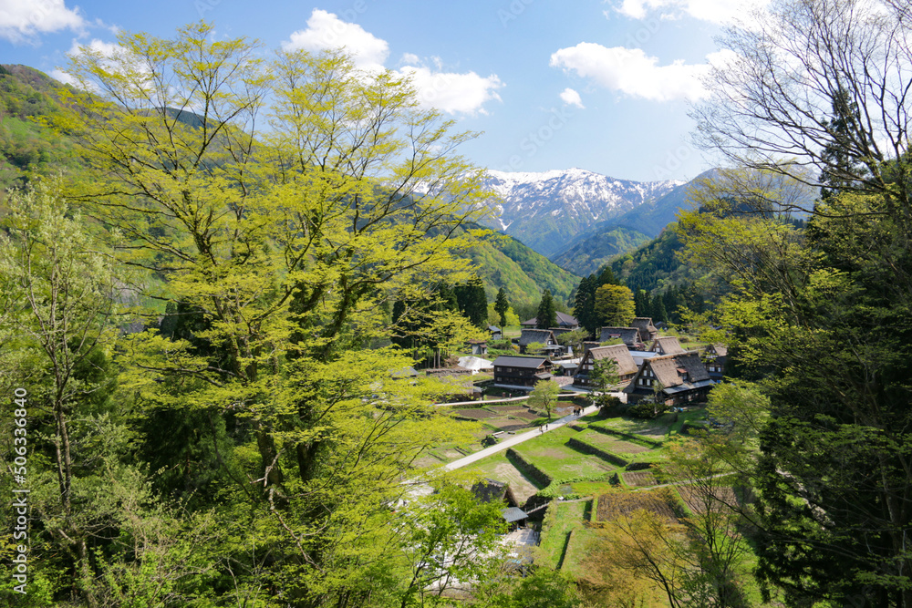 日本の原風景　富山県　春の相倉五箇山合掌造り集落の絶景