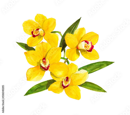 cymbidium orchid golden watercolor