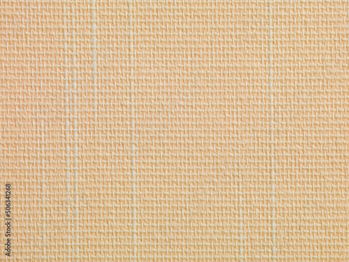 beige texture with white lines abstact