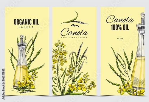 Canola oil labels collection in vintage style hand drawn vector illustration.