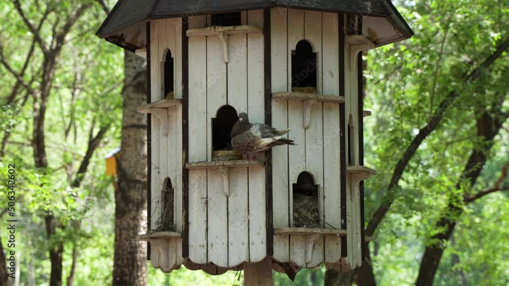 bird nest pigeon nest nest bird cage bird nest pigeon nest nest bird cage