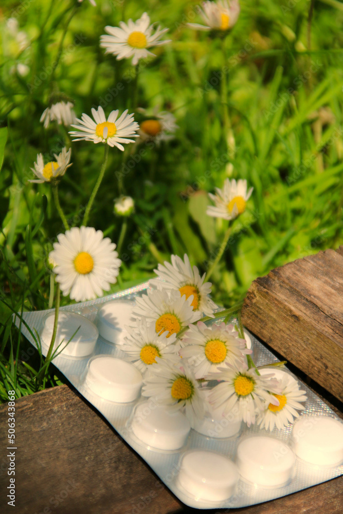 Obraz premium Homöopathie gänseblümchen