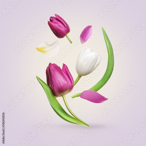 Fototapeta Naklejka Na Ścianę i Meble -  Beautiful spring tulips flying on light background
