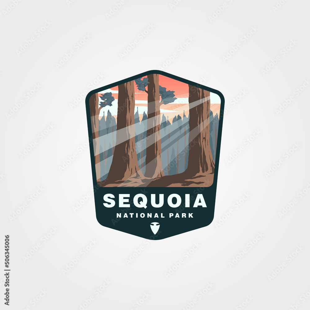 sequoia national park vector patch design, giant tree logo design - obrazy, fototapety, plakaty 