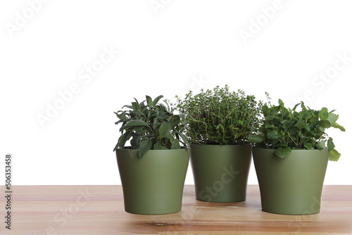 Pots with thyme, sage and mint on wooden table against white background