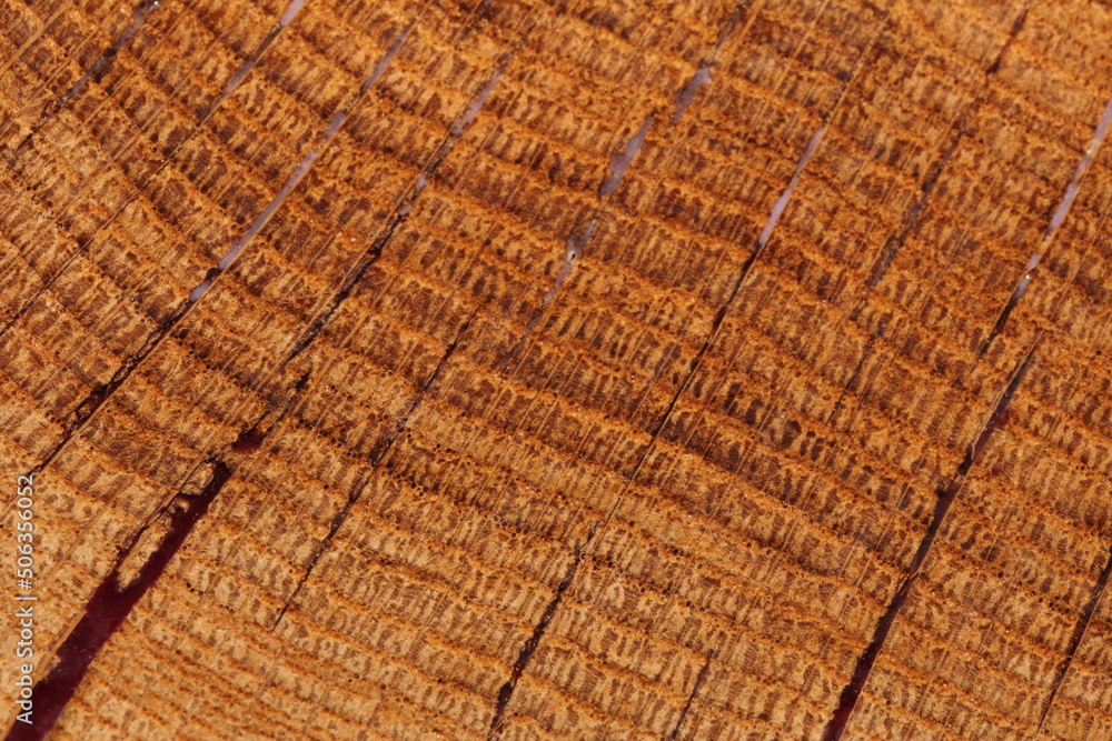 Fototapeta premium the oak texture is filled with epoxy resin