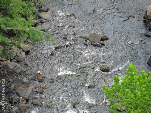 Wallpaper Mural water in the woods Torontodigital.ca