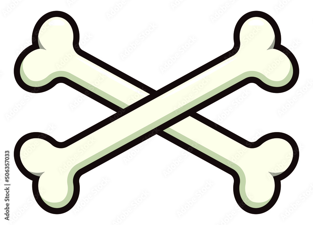 Fototapeta premium Bone. Skeleton. Healthy bone. Crossed bones.