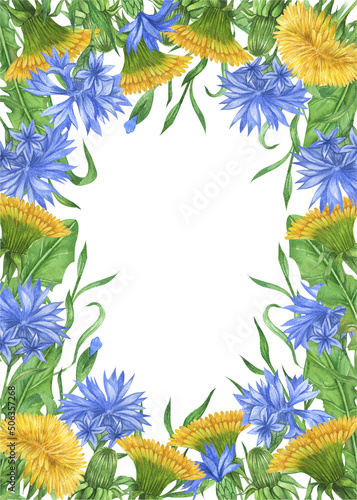 Watercolor wildflowers  frames. Dandelion and cornflower composition perfect for invitation. Summer  flower arrangement