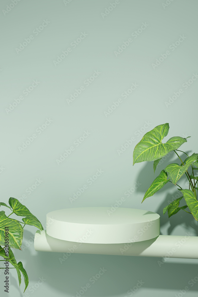 Podium on a green background with shadows and leaves. 3d render Podium on a green background with shadows and leaves. 3d render