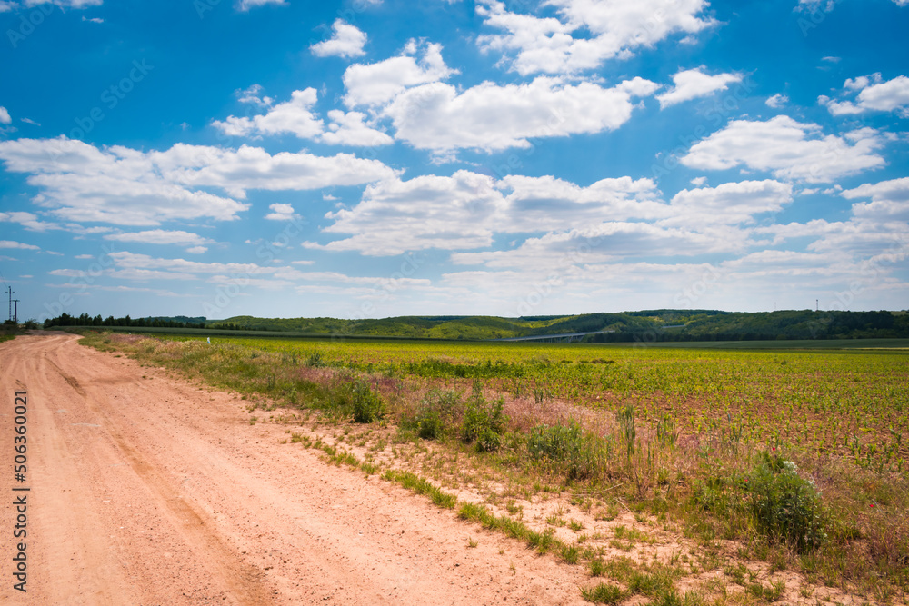 Hungarian countryside in summer