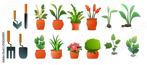 Set of Indoor plants and flowers. Garden tools and seedlings. In ceramic pots. Homemade beautiful herbs. Isolated on white background. Cartoon fun style. Vector