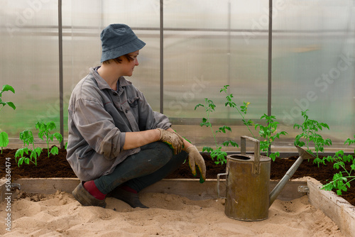 a farmer works in a greenhouse in spring, planting seedlings and watering