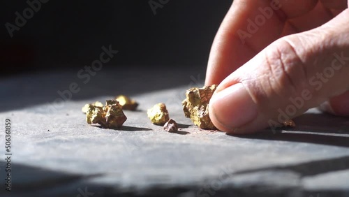 Gold in its origin as gold nuggets in the mine is in the hands of men .close-up