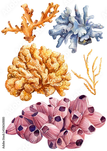Underwater set with coral. Watercolor sea illustration.