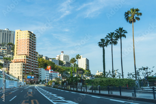 ビルとヤシの木【伊豆】／ buildings and palm trees / Atami City, Shizuoka Prefecture, Japan © yumiko