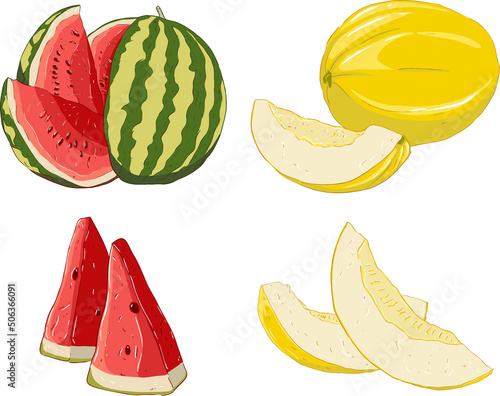 Illustration of melon and watermelon whole and in pieces. Vector illustration