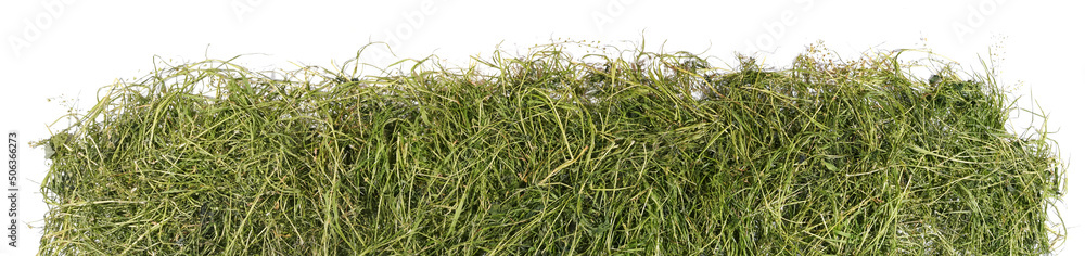 Fresh Dry Grass - Hay Banner, isolated Panorama on white Background Fresh Dry Grass - Hay Banner, isolated Panorama on white Background