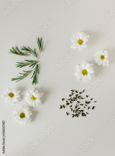 Layout of flowers, rosemary and tea leaves on a gray background. Background for the product. Flatlay.