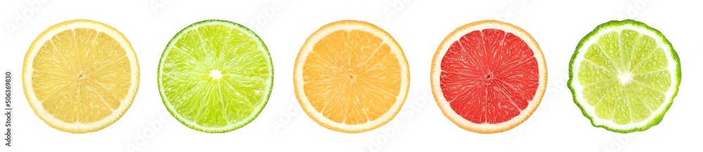Set of citrus fruit sliced isolated on white background. Set of citrus fruit sliced isolated on white background.