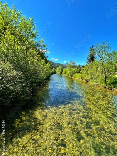 river in the forest