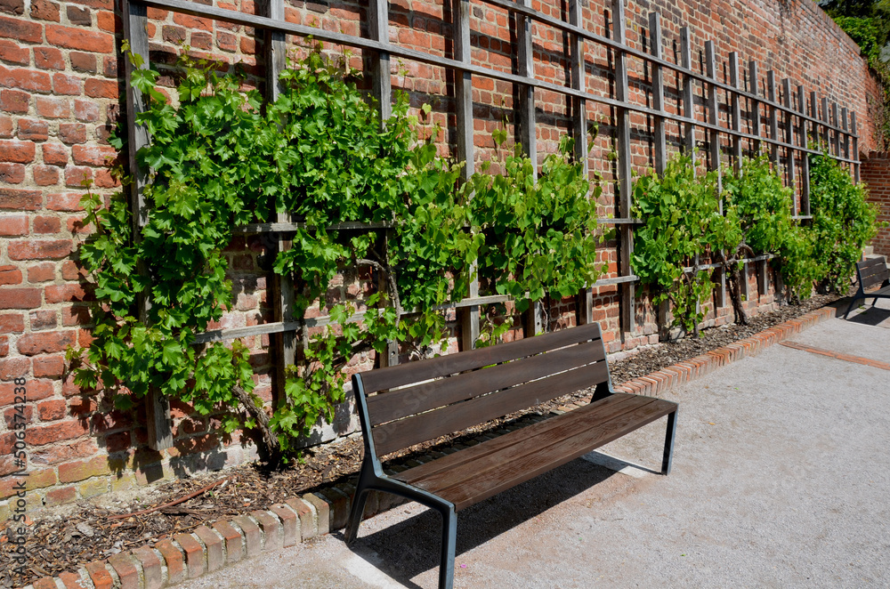 wooden wine trellises. brick red wall with recessed lights and drainage