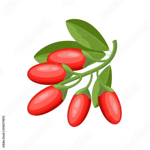 Fresh goji berries, flat style vector illustration isolated on white background