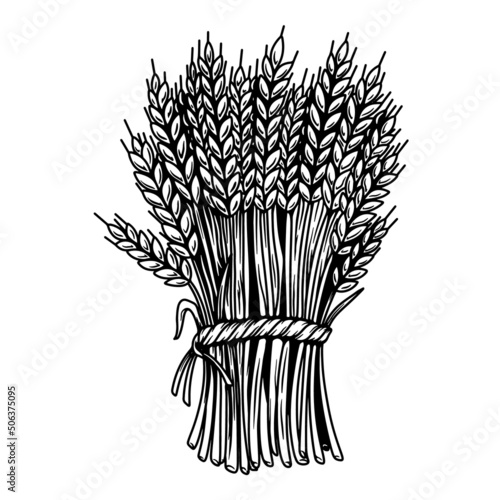 Illustration of sheaf of wheat in engraving style. Design element for emblem, sign, poster, package design. Vector illustration