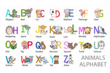 A-Z letter with animals, English alphabet poster