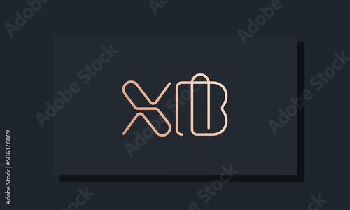 Minimal line art initial letters XB logo