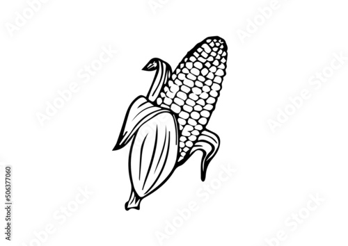 illustration of sweet corn best graphics design in vector art