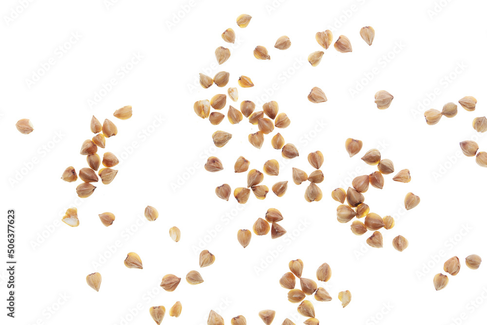 Buckwheat groats isolated on white background. Buckwheat groats isolated on white background.