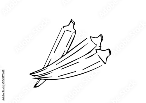 illustration of okra ladies finger best graphics design in vector art