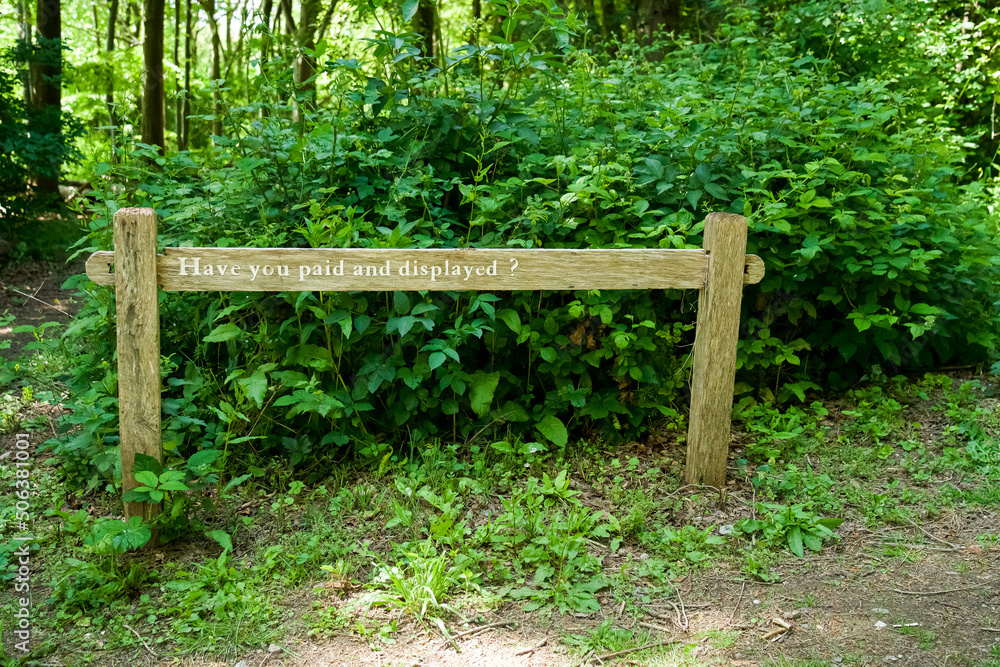 The inscription on the wooden table. Path indication. The inscription in the forest. The inscription on the wooden table. Path indication. The inscription in the forest.