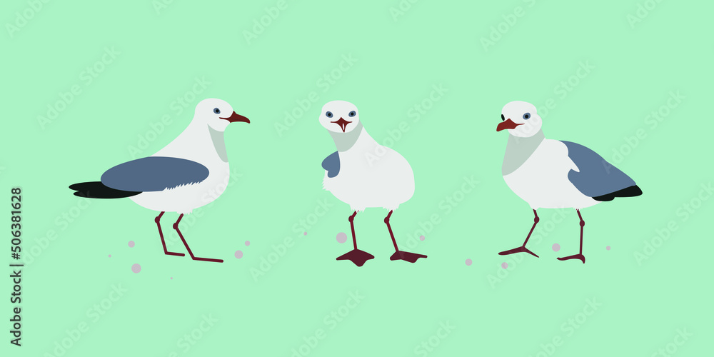 Cartoon cute gulls. Vector illustration of funny seagulls. Blue background. Grey Seagulls Stand In Different Poses Vector Illustrations Set. Cartoon cute gulls. Vector illustration of funny seagulls. Blue background. Grey Seagulls Stand In Different Poses Vector Illustrations Set.