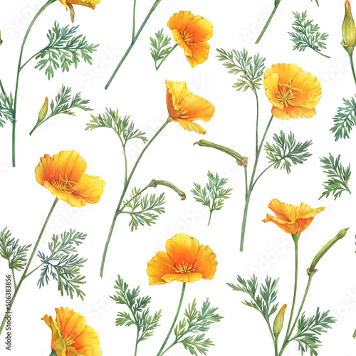 Seamless pattern with golden Eschscholzia flower (California sunlight, cup of gold, tufted desert gold poppy, Mojave poppy). Hand drawn watercolor painting illustration isolated on white background.