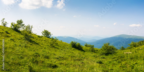 grassy meadow on a sunny afternoon. beautiful carpathian landscape in summer. view. in to the distant rural valley. hills and slopes of runa mountain, ukraine