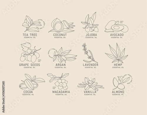 Vector set design templates and emblems - healthy and essential cosmetics oils. Different natural, organic oils. Logos in trendy linear style.