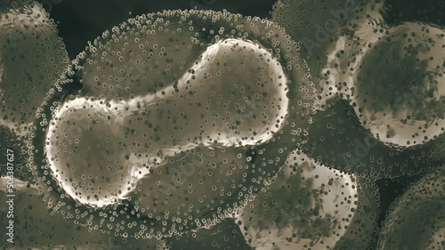 Monkeypox viruses, closeup photo