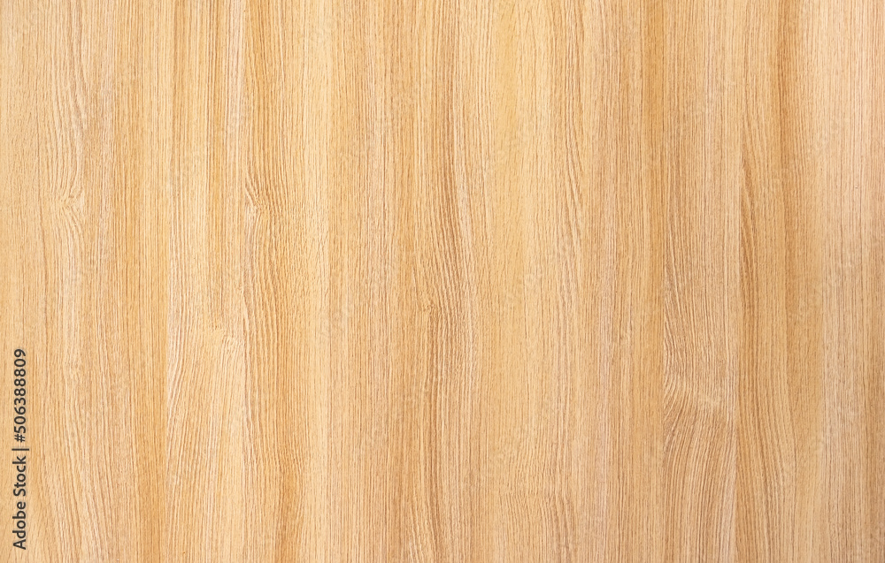 Woodgrain of an elm panel used in the construction Woodgrain of an elm panel used in the construction