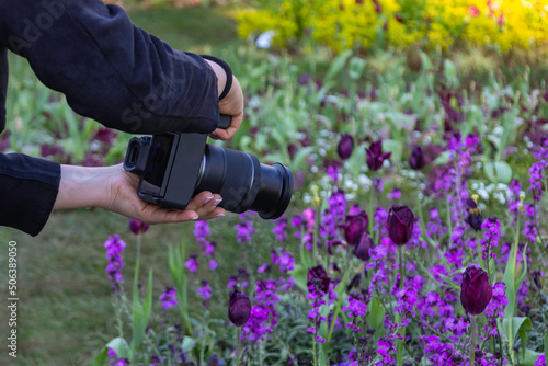Close-up of a woman's hand holding a camera and photographing a flowerbed.