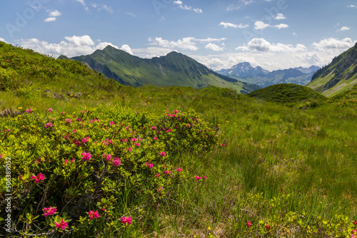 Fototapeta Naklejka Na Ścianę i Meble -  Typical alpine landscape in early summer near Damuls, Vorarlberg, Austria