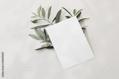 Fototapete Blank greeting card, invitation mock-up scene with blooming green olive tree leaves, branch isolated on white table background in sunlight